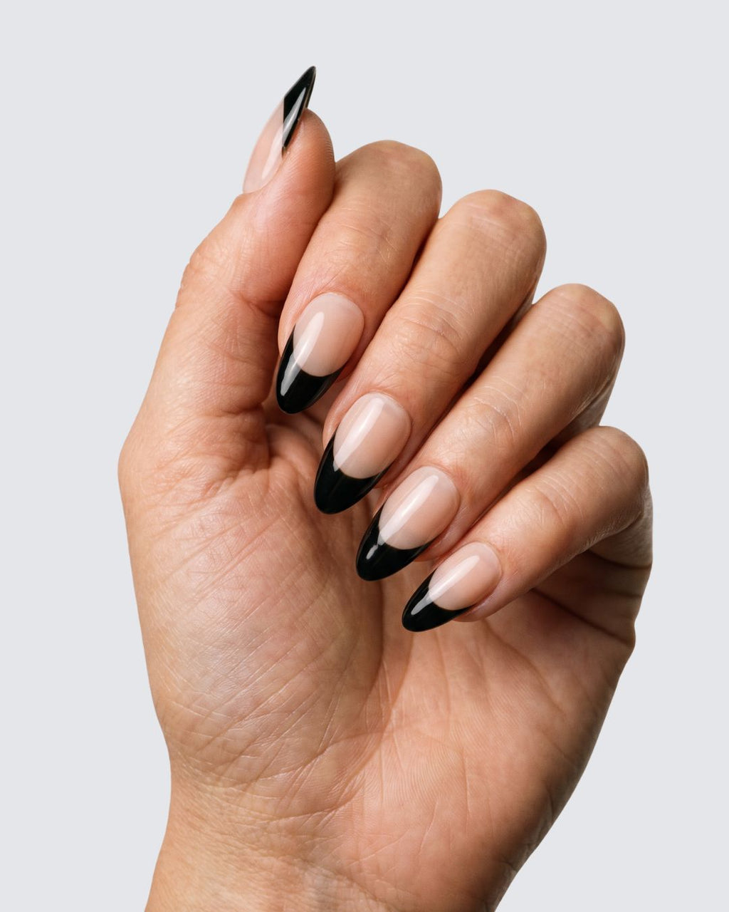 Black Tip