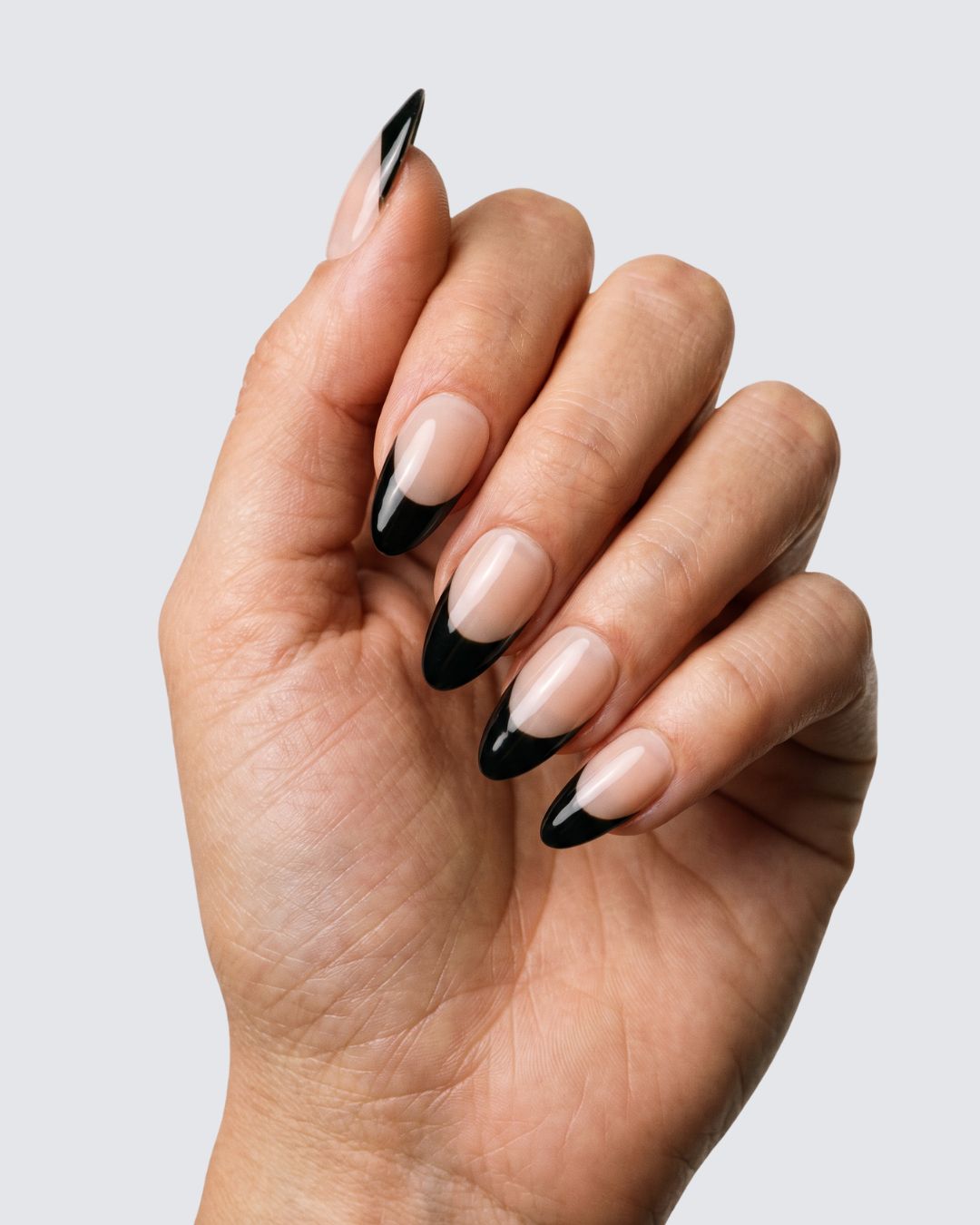 Black Tip