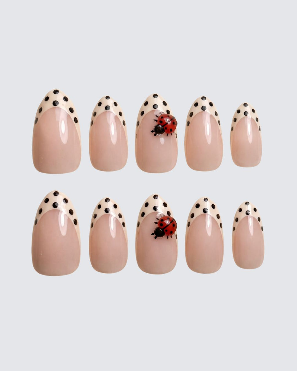 Lady Bug