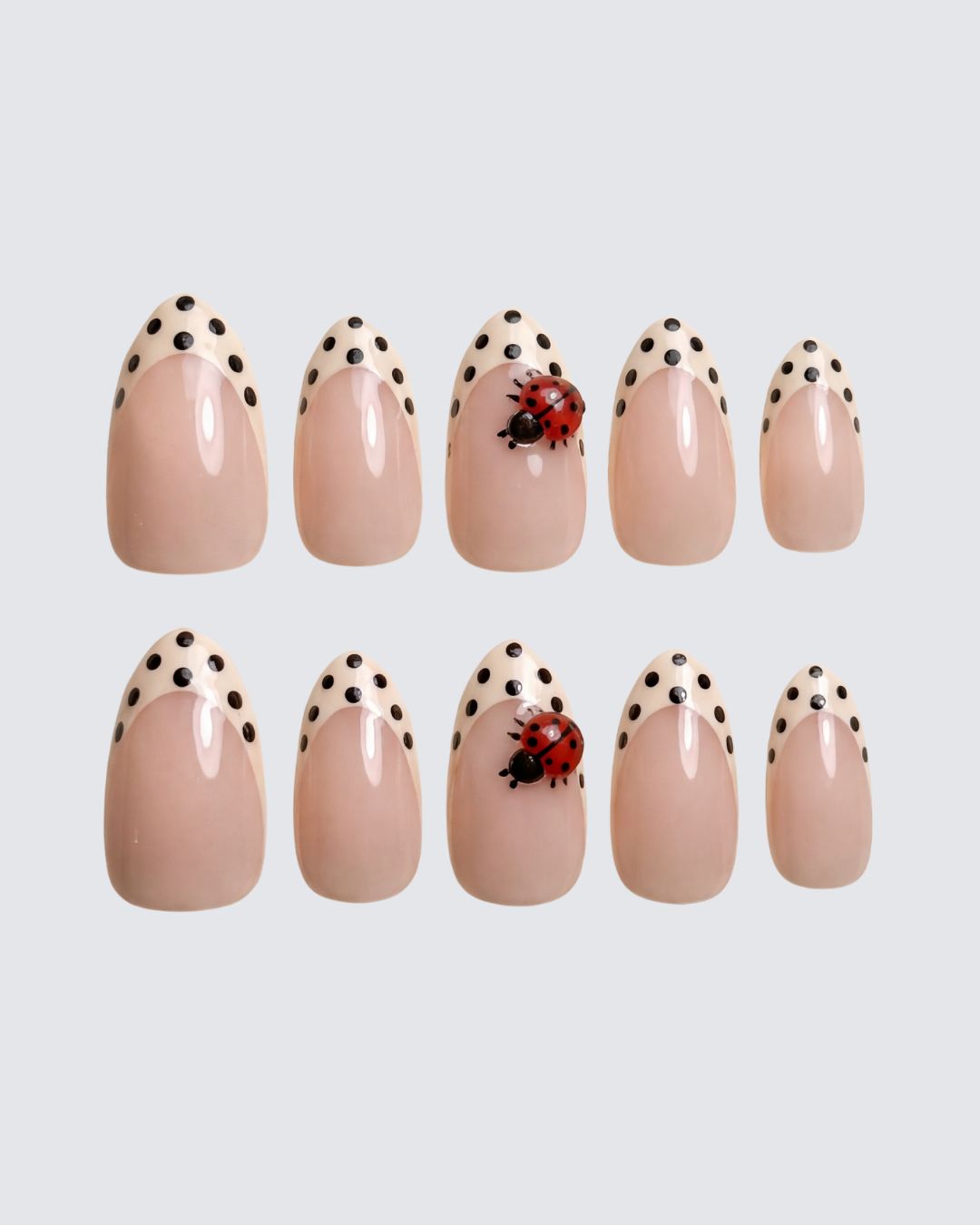 Lady Bug