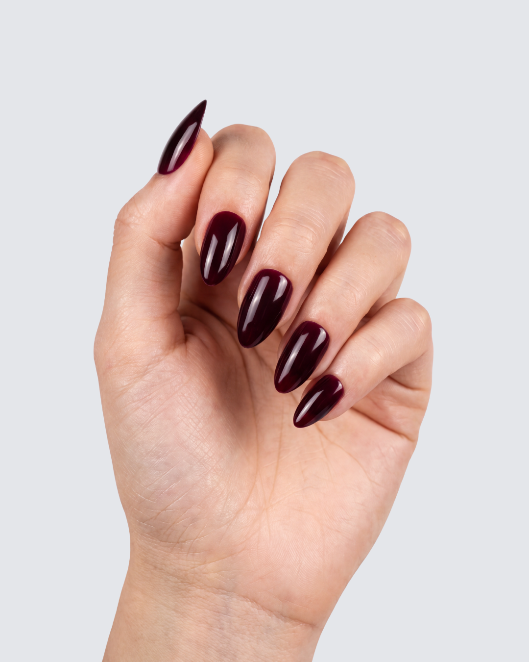 Oxblood